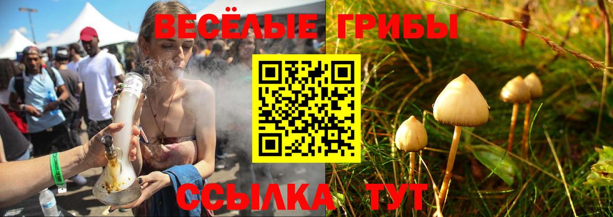 Псилоцибиновые грибы Magic Shrooms  Галлюциногенные грибы мицелий  Вход с VPN  Сорочинск 